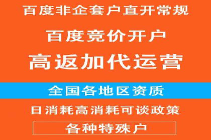 行业专家眼中的信息流代理：案例与未来趋势
